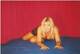 Private Photo of Jennifer63